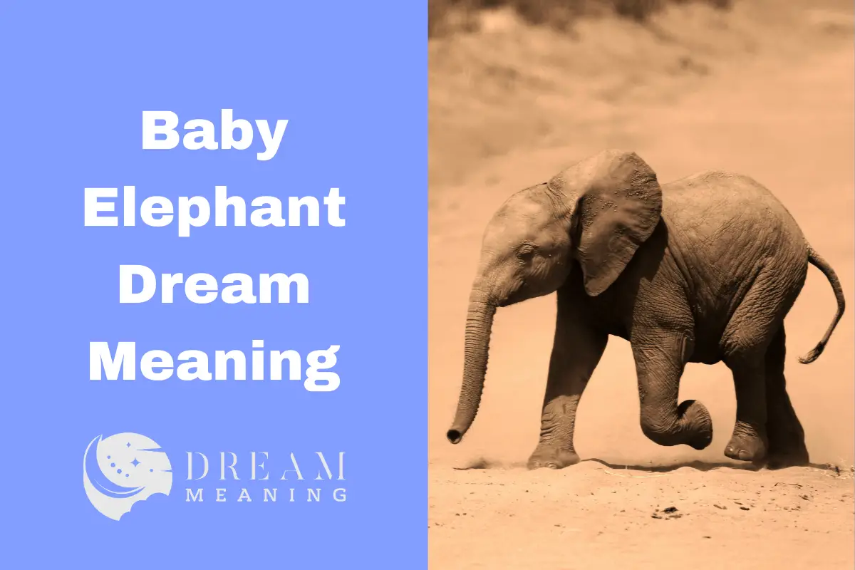 dream-meaning-of-baby-elephant-uncover-the-symbolism-behind-it-the