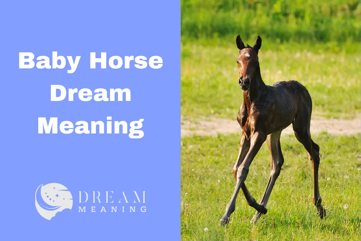 dream-meaning-of-baby-horses-what-does-it-mean-when-you-dream-about