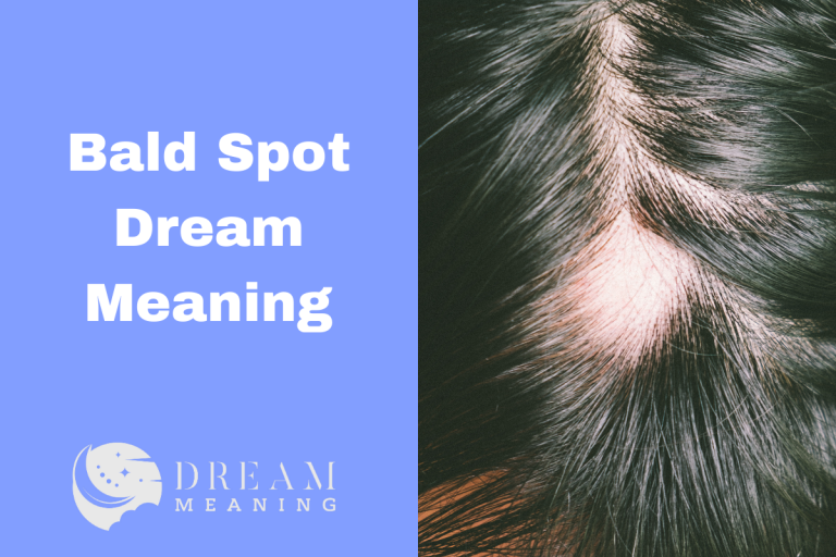 dreaming-of-bald-spots-here-s-what-it-means-how-to-interpret-it