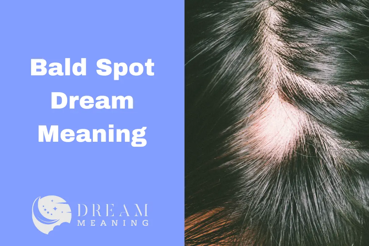 Bald Spot Dream Meaning