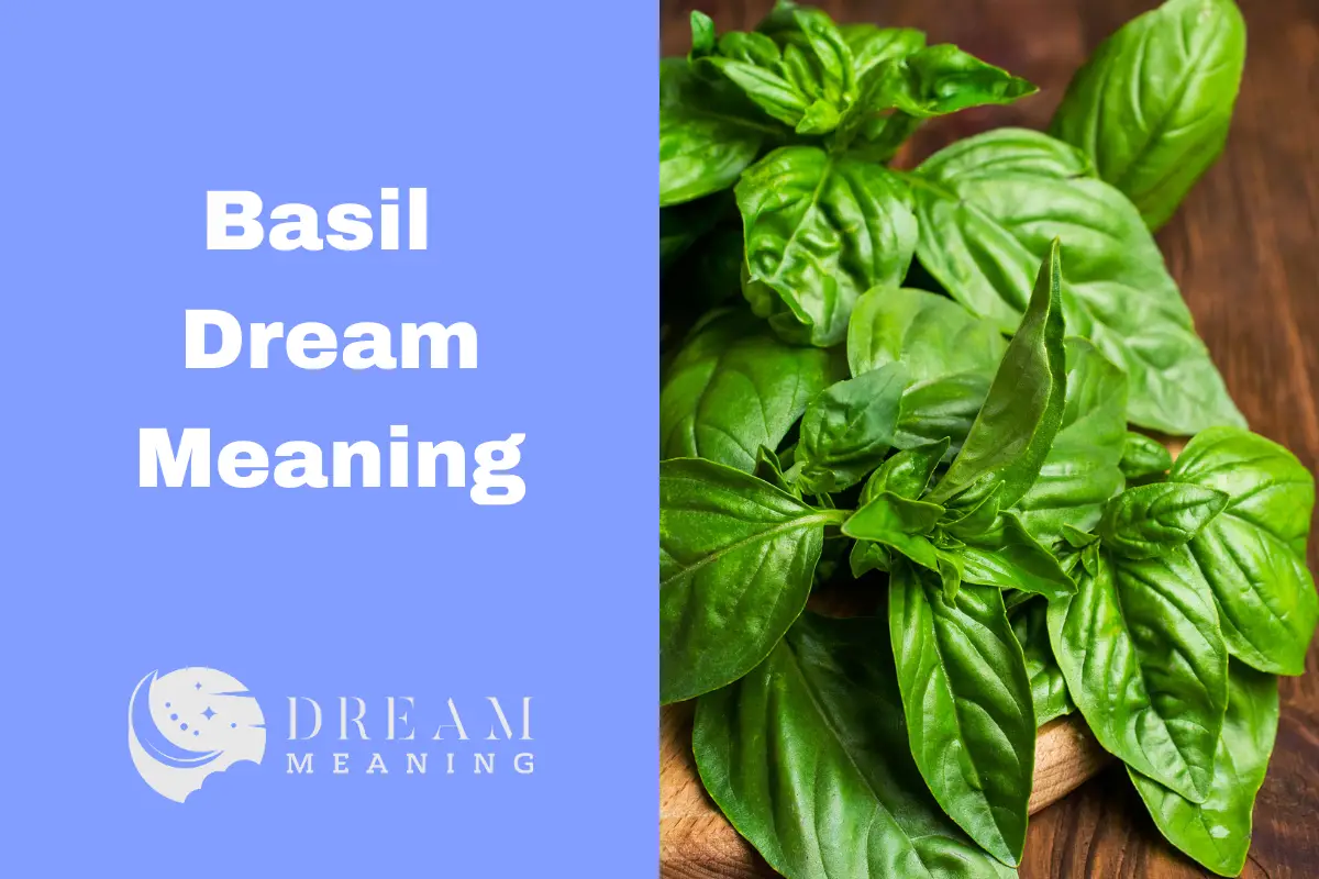 basil-dream-meaning-what-does-it-symbolize-how-to-interpret-it