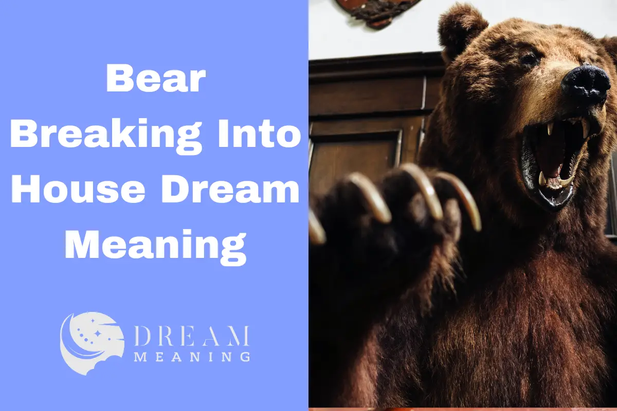 dream-meaning-what-does-it-mean-when-you-dream-of-a-bear-breaking-into