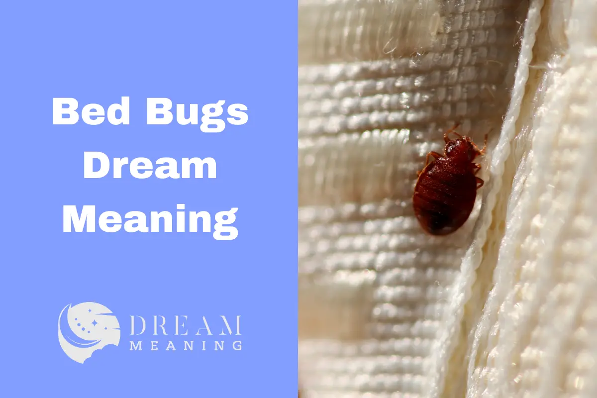 what-does-it-mean-to-dream-about-bed-bugs-uncovering-the-hidden