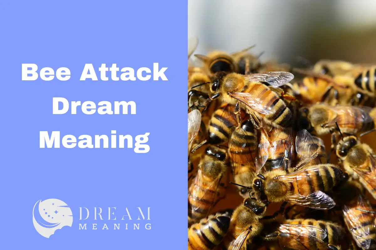 Interpreting Your Bee Attack Dream What Does It Mean? The Dream Meaning