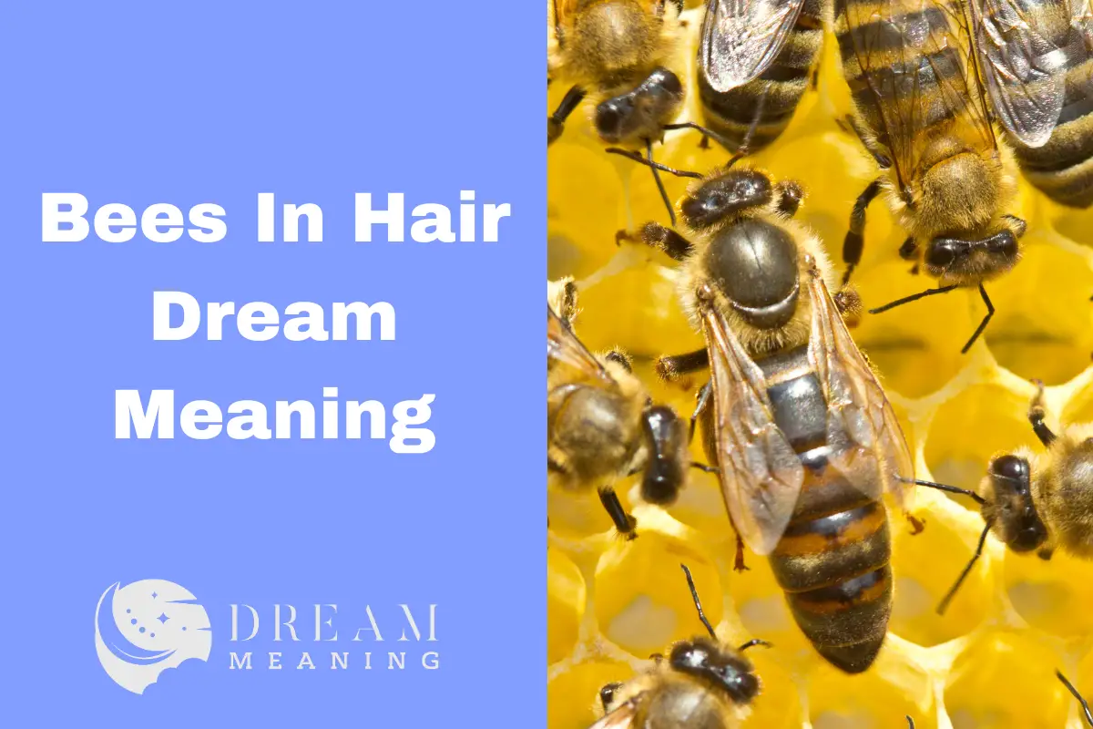 Understanding Bees In Hair Dream Meaning: What Does It Mean? - The ...