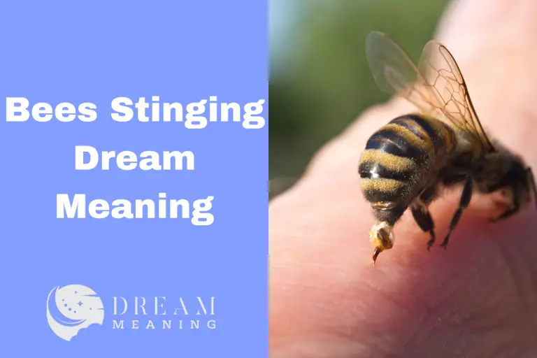Dream Meaning Of Bees Stinging What It Really Means The Dream Meaning