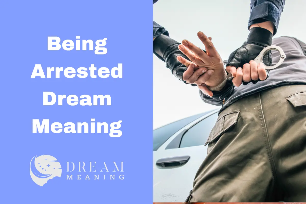 dreaming-of-being-arrested-here-s-what-it-could-mean-the-dream