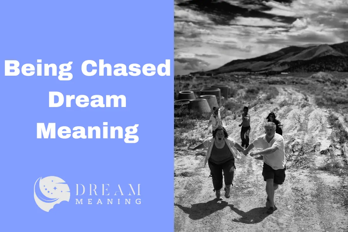 Dream Interpretation What Does It Mean To Be Chased In Your Dreams