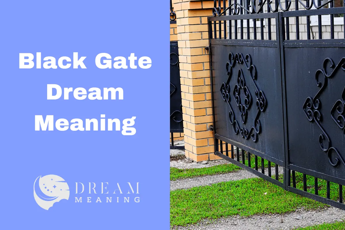 Black Gate Dream Meaning