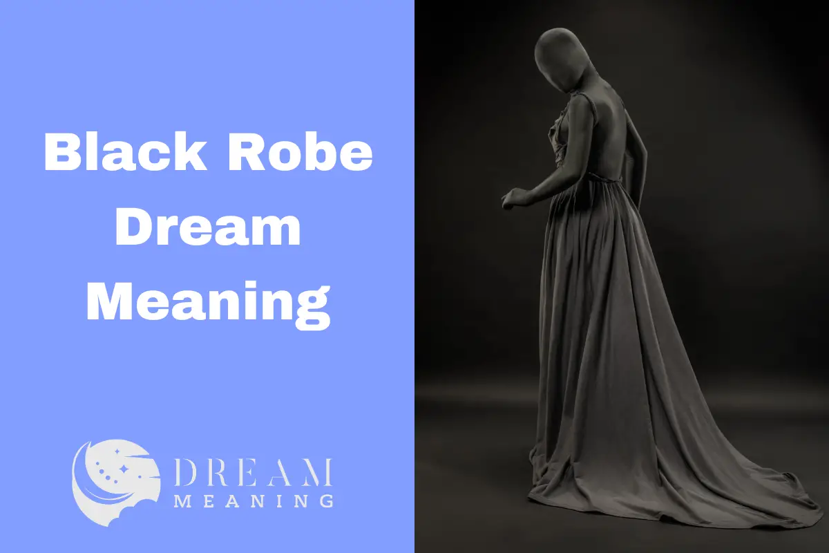 Black Robe Dream Meaning