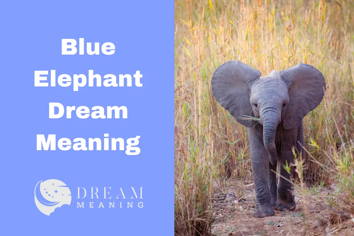 Blue Elephant Dream Meaning