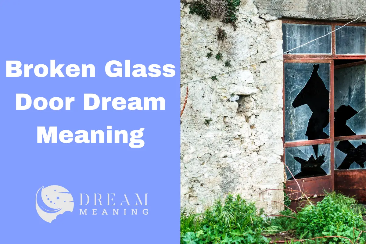 interpreting-the-meaning-of-a-broken-glass-door-dream-the-dream-meaning