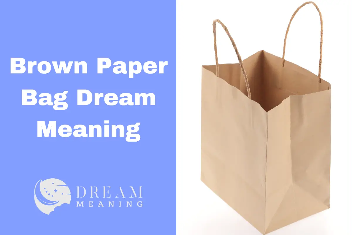 what-does-it-mean-when-you-dream-about-brown-paper-bags-exploring-the