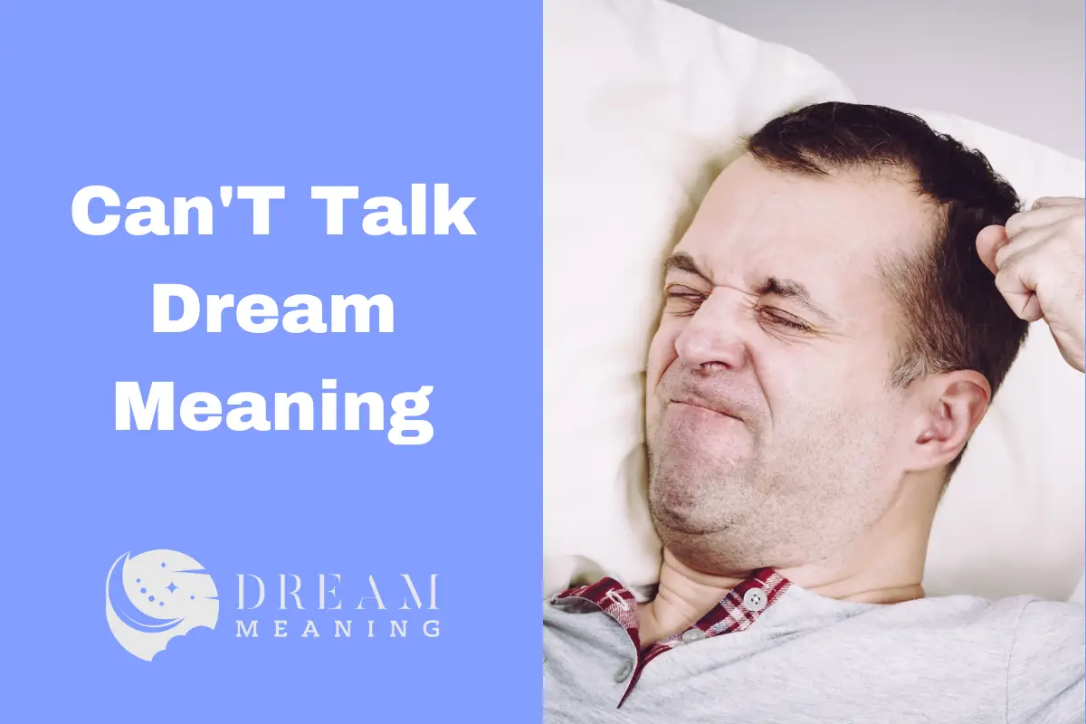 Can'T Talk Dream Meaning