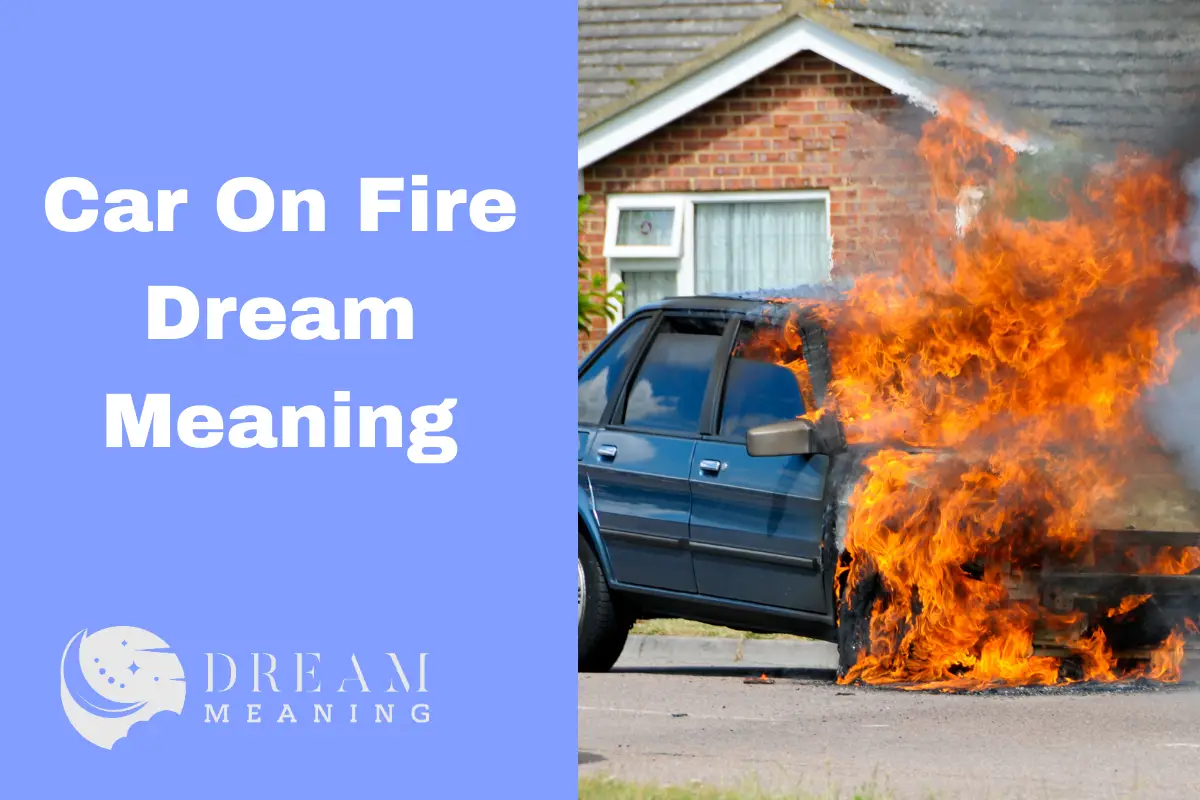 Setting Things On Fire Dream Meaning