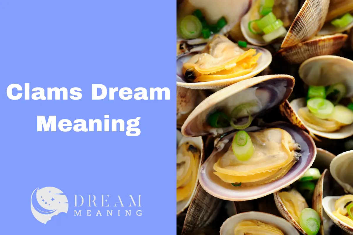 Clams Dream Meaning Uncover What Your Dreams Could Reveal The Dream