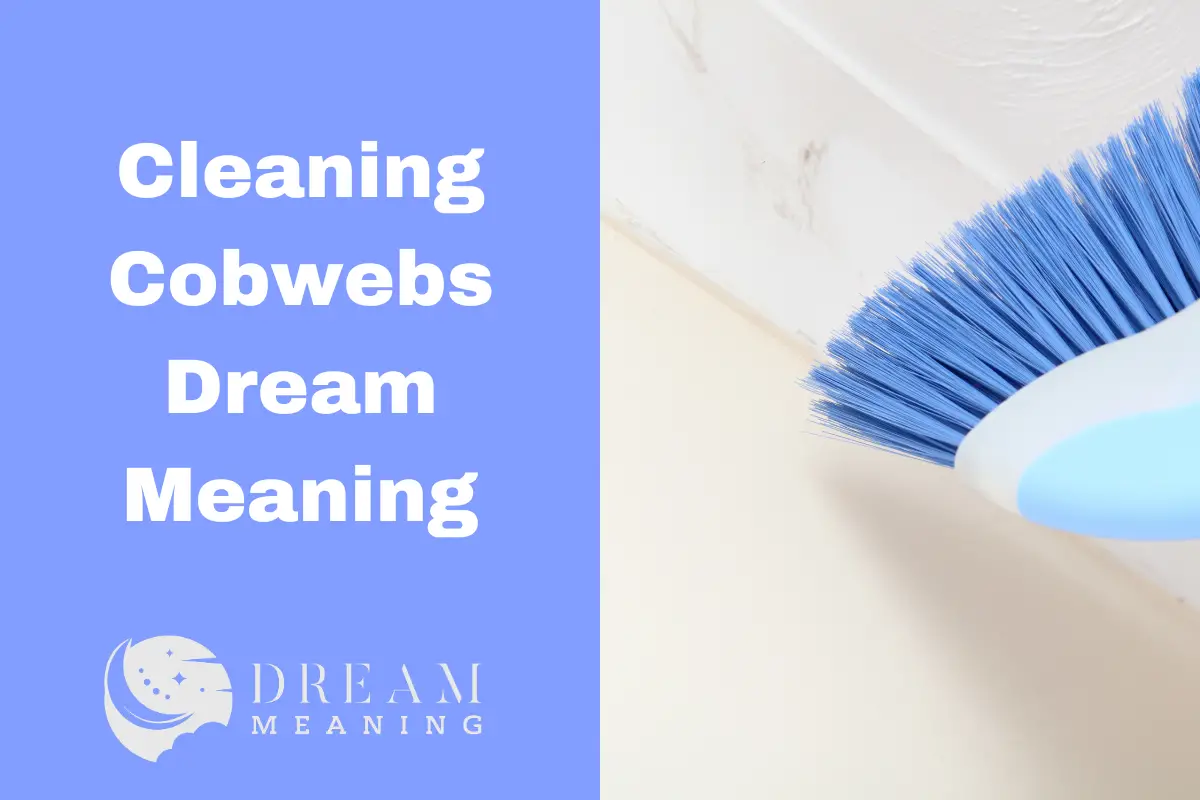 Cleaning Cobwebs Dream Meaning