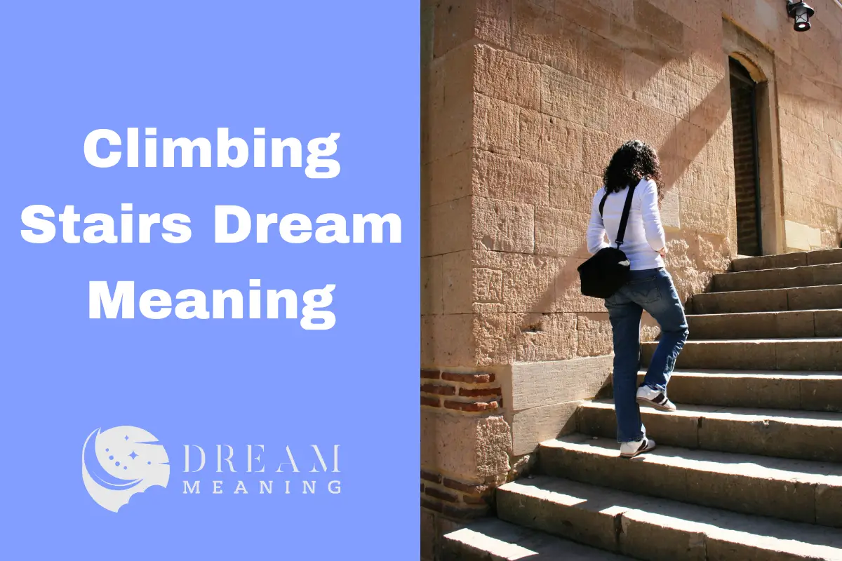 climbing-stairs-dream-meaning-what-does-it-mean-the-dream-meaning