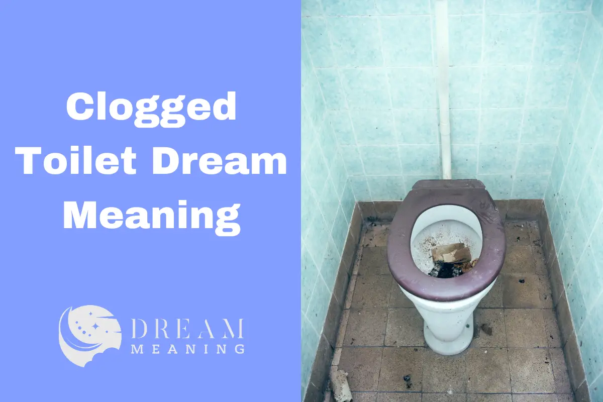 dream-meaning-of-a-clogged-toilet-what-it-could-mean-for-you-the