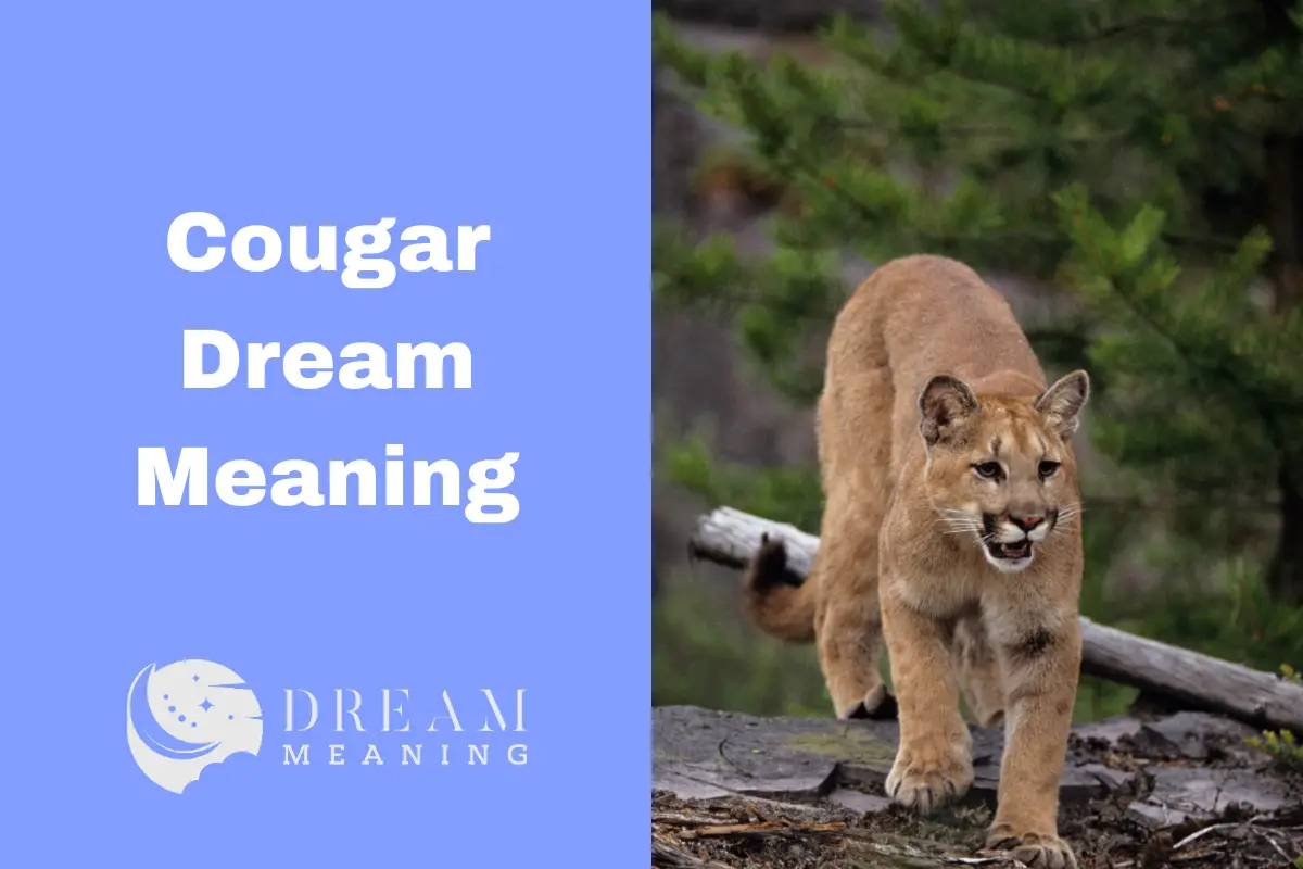 Cougar Dream Meaning