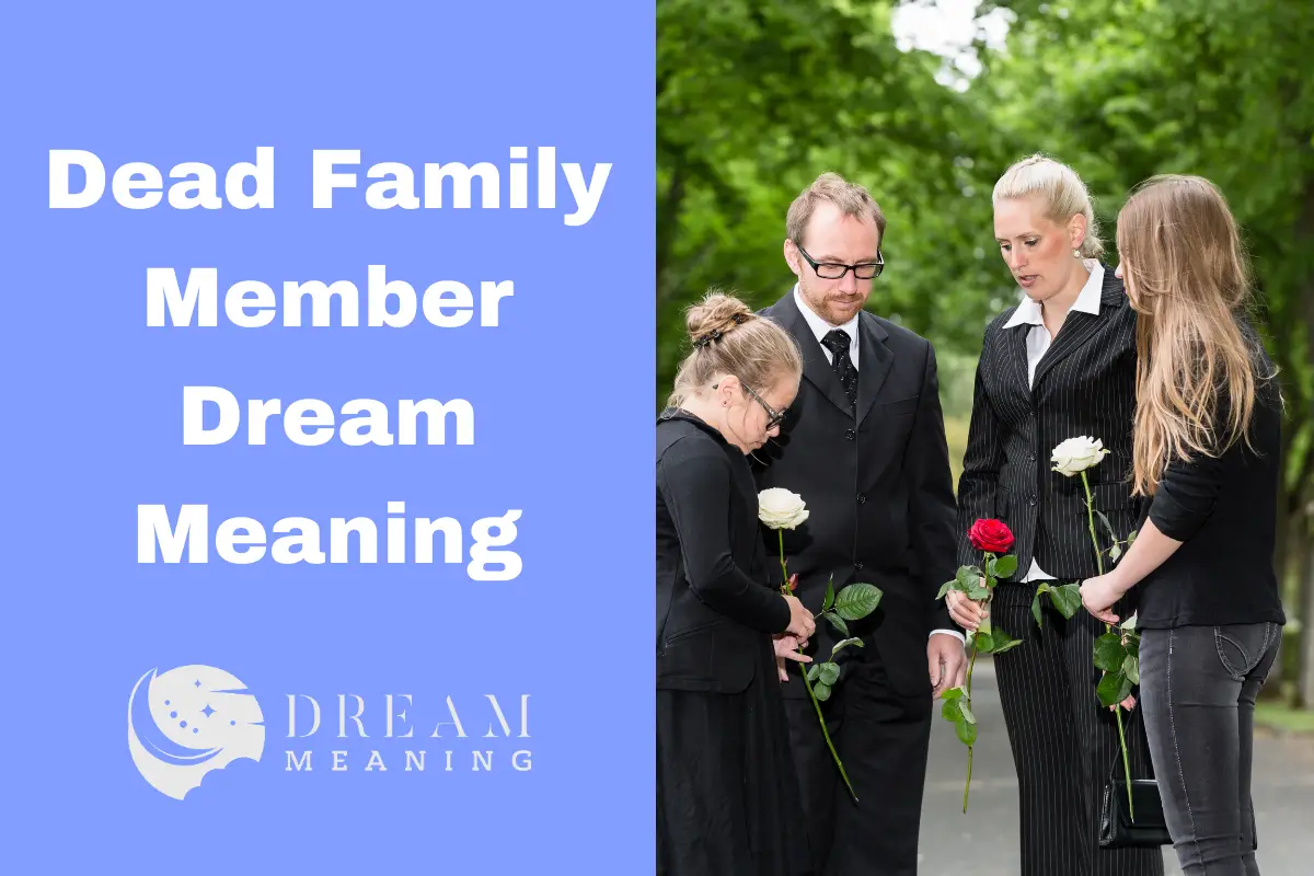 Lost Family Member Dream Meaning