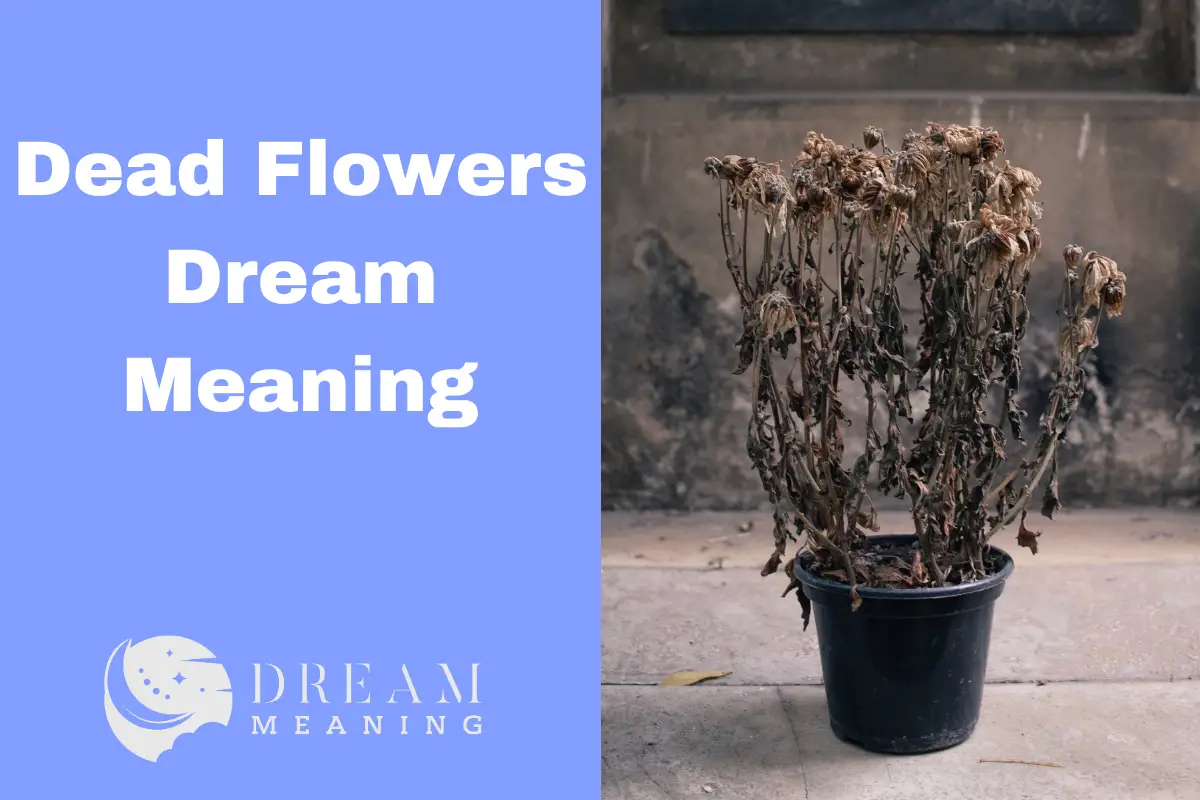 Dead Flowers Dream Meaning Uncovering Its Hidden Symbolism The Dream