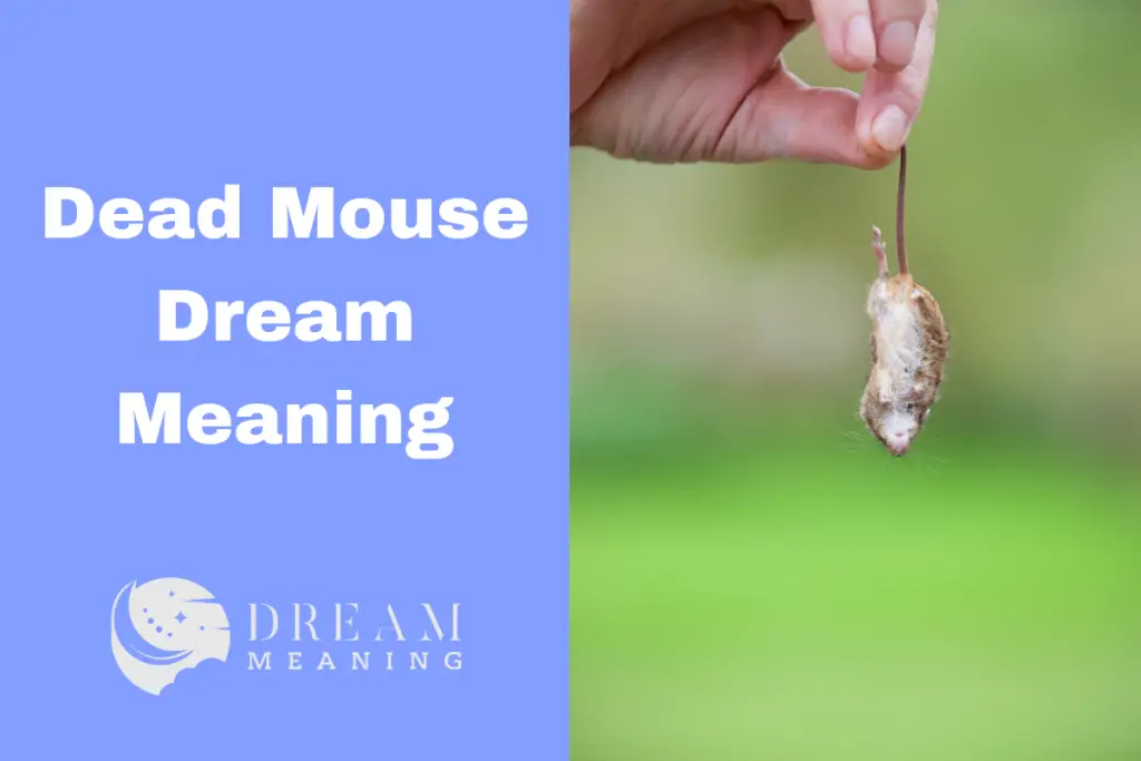 dreaming-about-a-dead-mouse-here-s-what-it-could-mean-the-dream