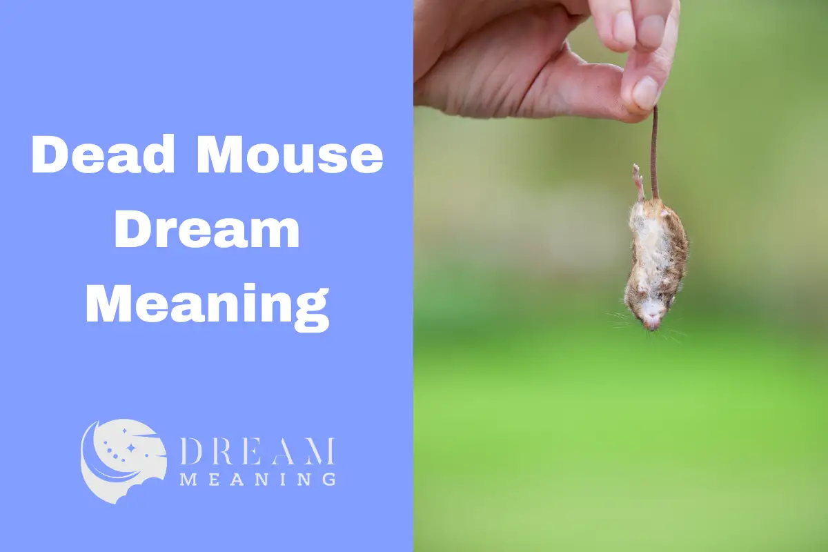 dreaming-of-mice-or-mouse-meaning-and-interpertation-auntyflo