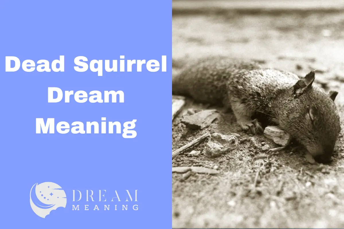 Dead Squirrel Dream Meaning