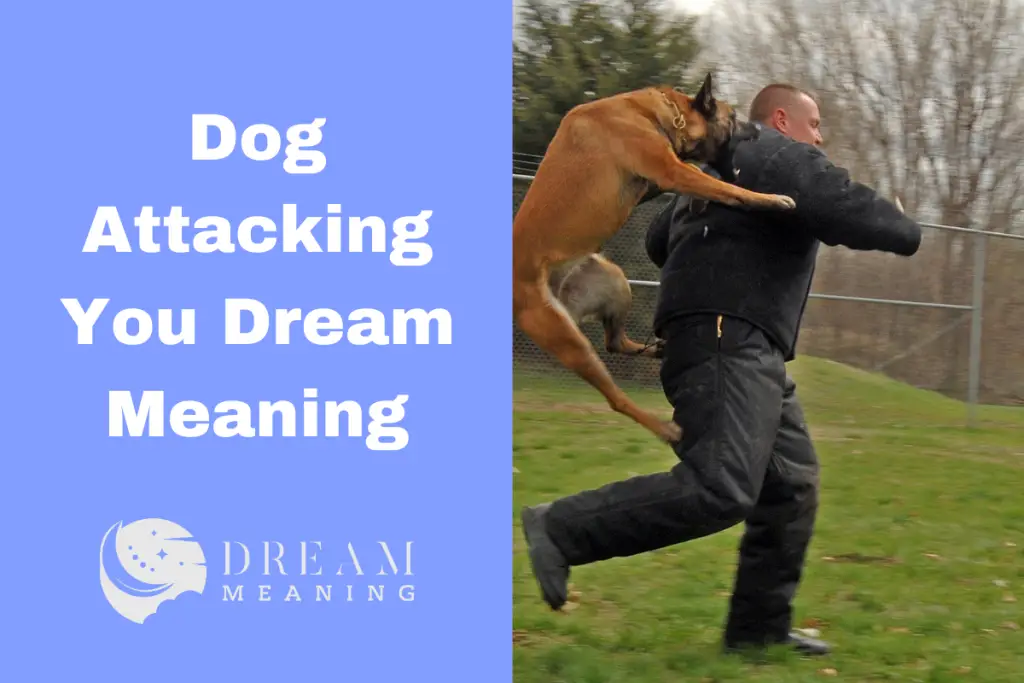 What Does It Mean When You Dream About A Dog Attacking You? - The Dream ...