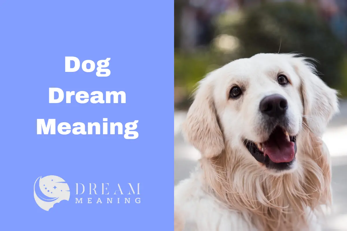 Dog Dream Meaning