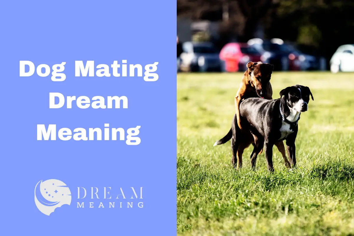 dog-mating-dream-meaning-what-does-it-really-mean-the-dream-meaning