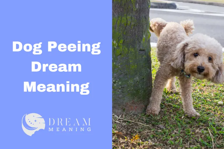 What Does It Mean When You Dream About Dog Peeing? Uncover The Mystery