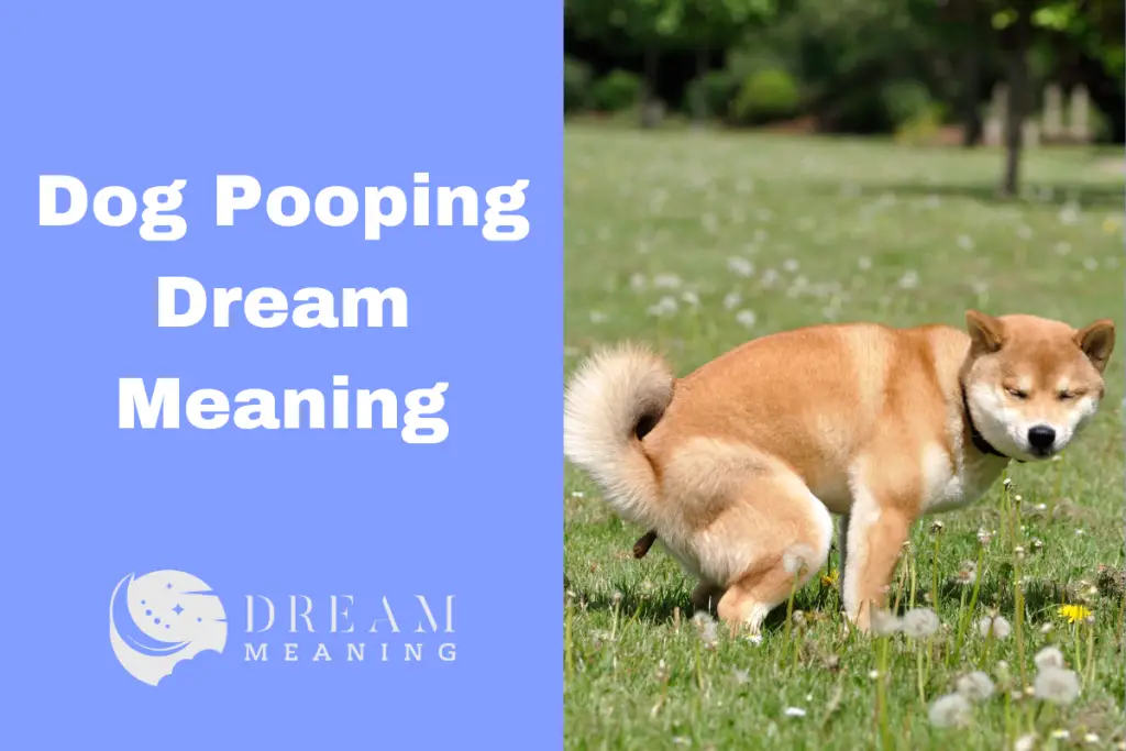 Discover The Dog Pooping Dream Meaning What Does It Really Mean? The