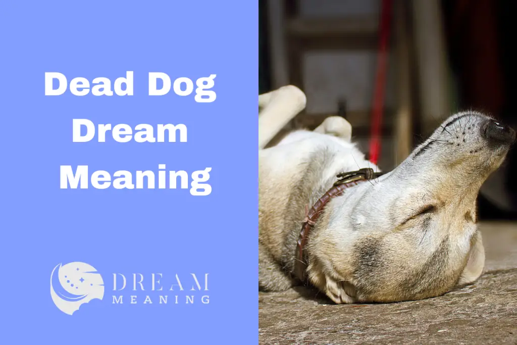 dream-about-a-dead-dog-uncovering-the-hidden-meaning-the-dream-meaning