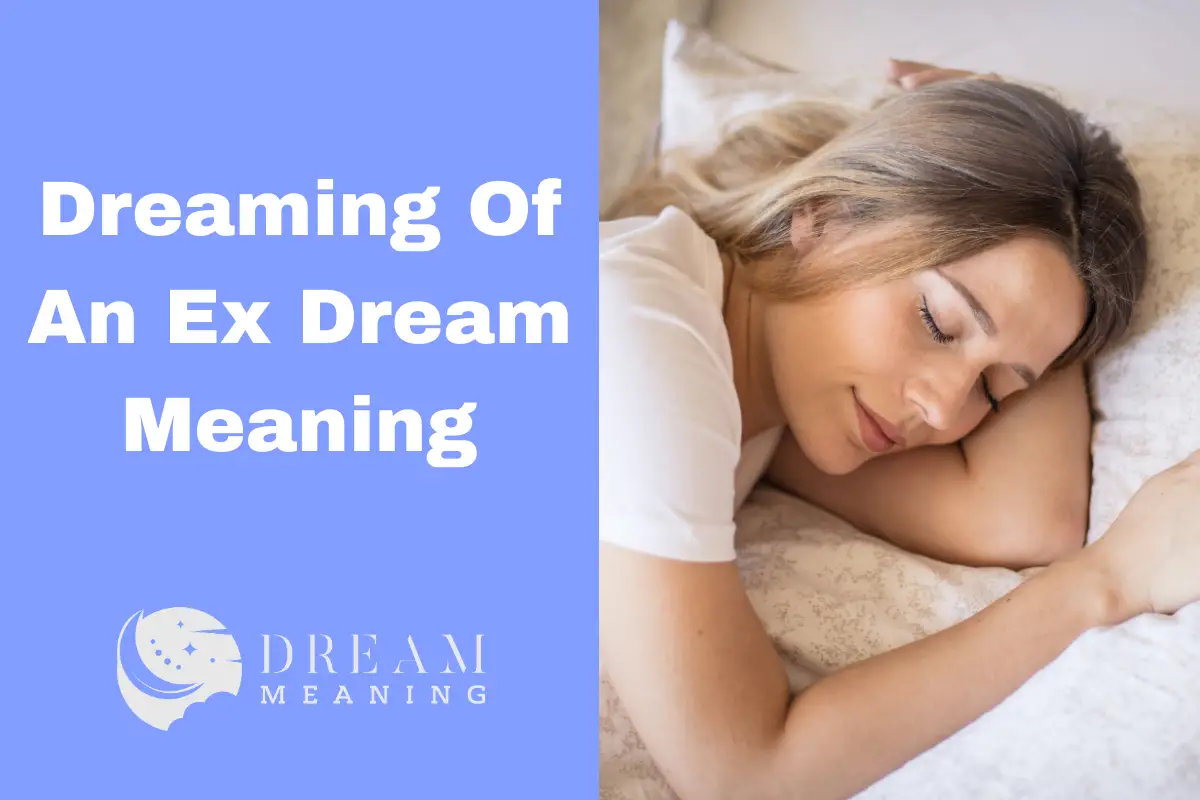 Dreaming Of An Ex Dream Meaning