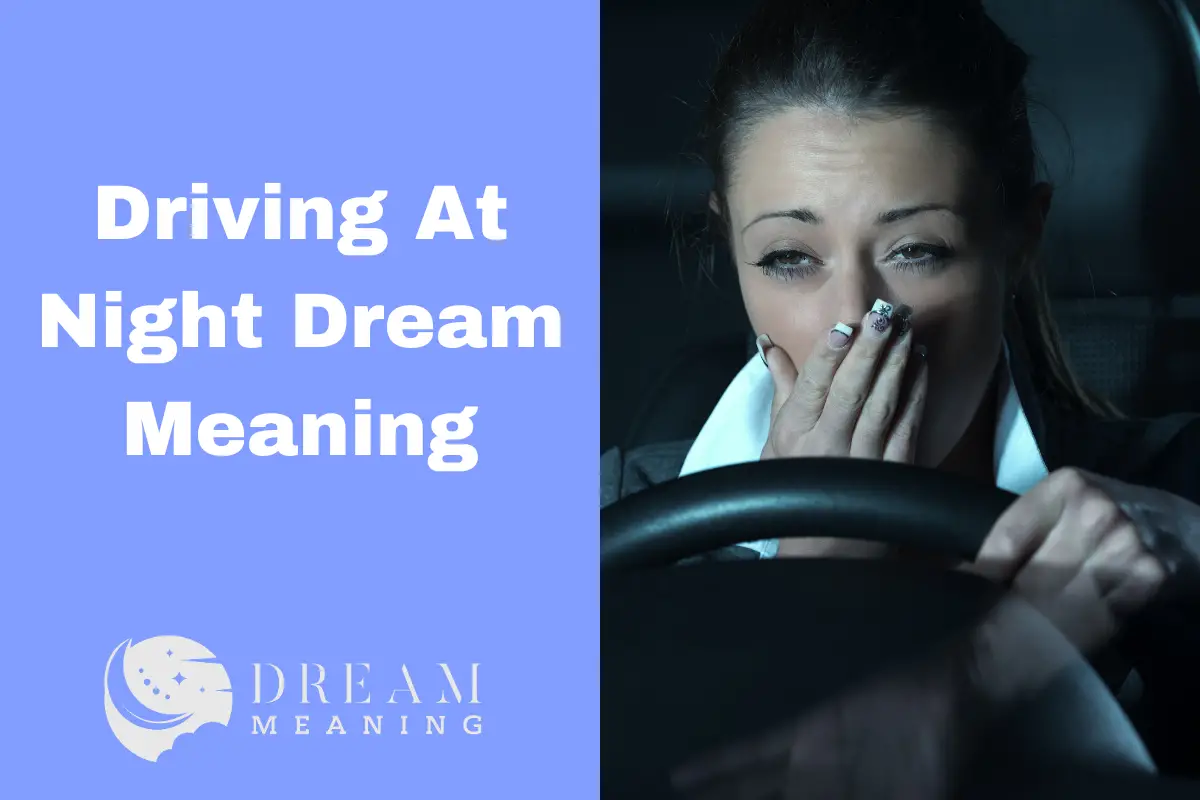 Driving At Night Dream Meaning