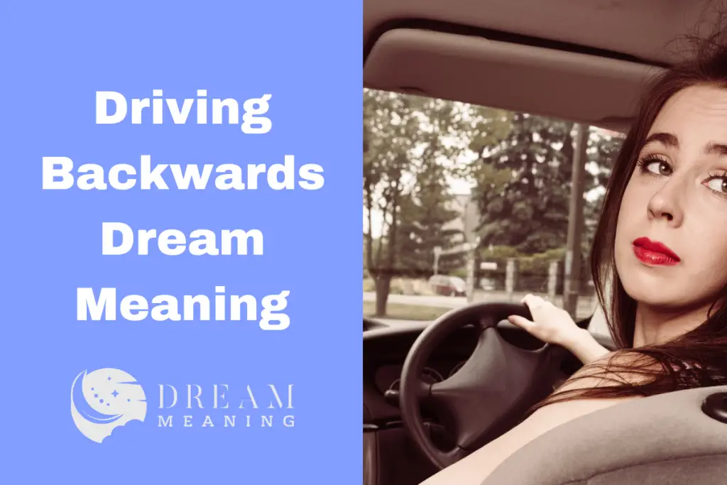 what-does-driving-backwards-in-a-dream-mean-here-s-the-interpretation