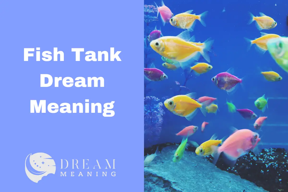 Dream Interpretation: What Does It Mean When You Dream About Fish Tanks