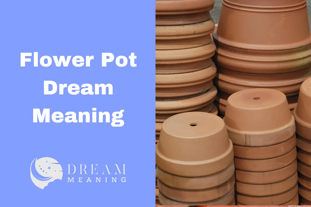 Dreaming Of A Flower Pot What Does It Mean? [Interpretation & Analysis