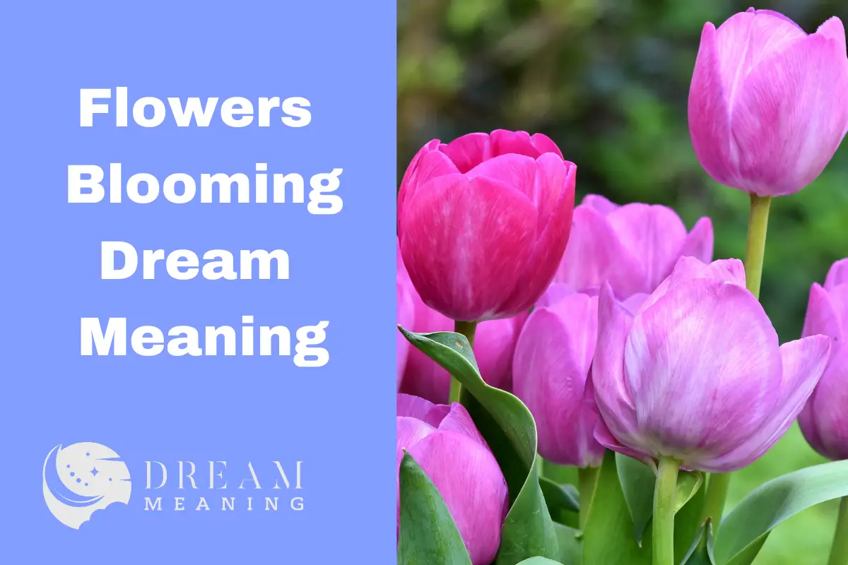 Flowers Blooming Dream Meaning