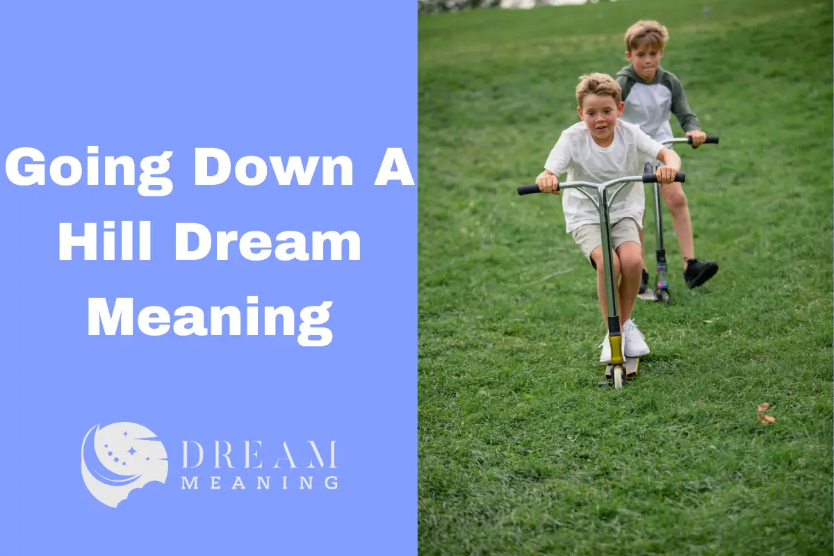 Going Down A Hill Dream Meaning What Does It All Mean? The Dream Meaning