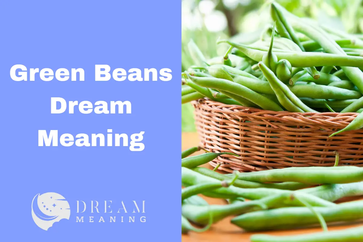 Green Beans Dream Meaning What Does It Mean To See Green Beans In A