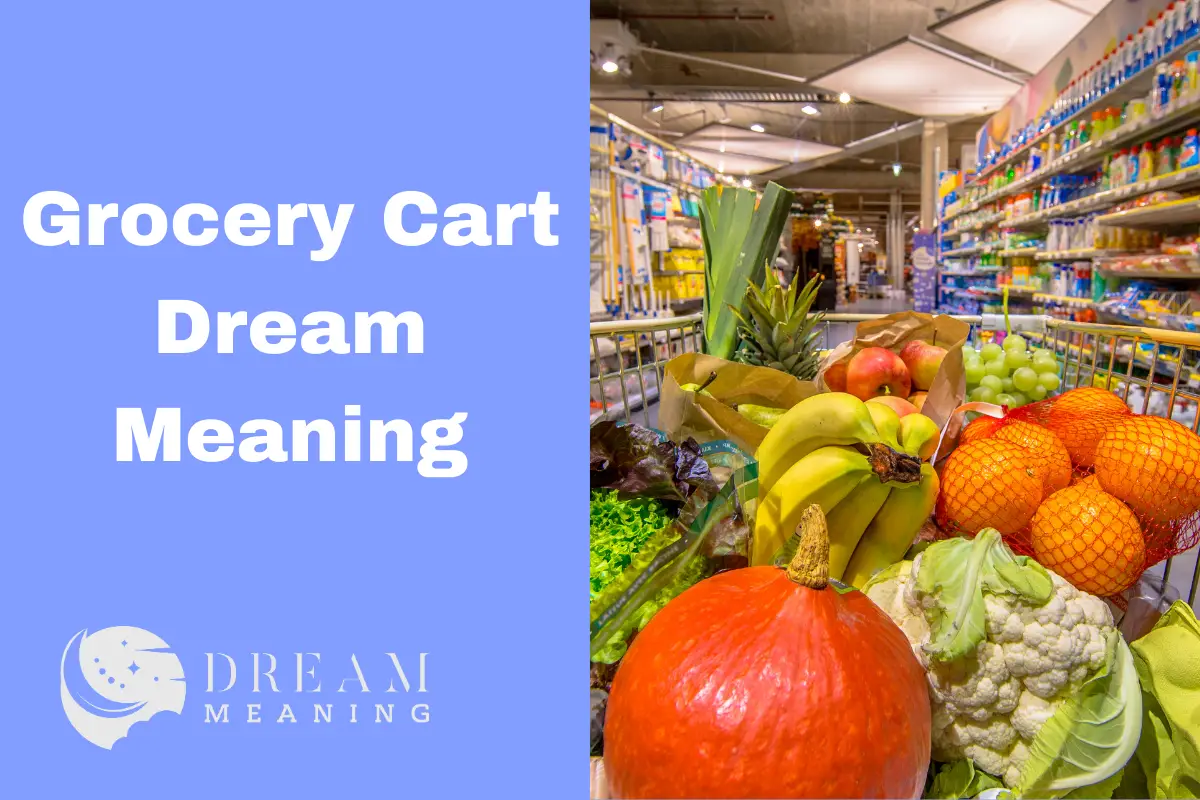 Grocery Cart Dream Meaning