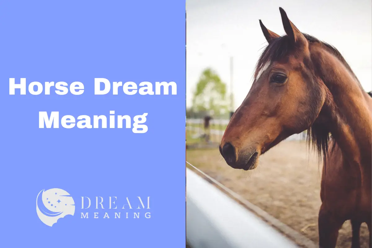 horse-symbolism-7-meanings-dreams-spirit-animals