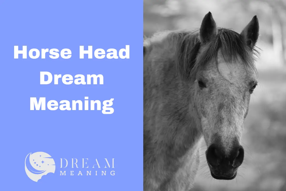 Exploring The Horse Head Dream Meaning What It Means & How To