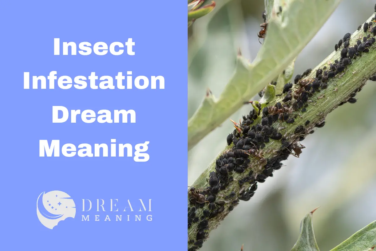 Insect Infestation Dream Meaning