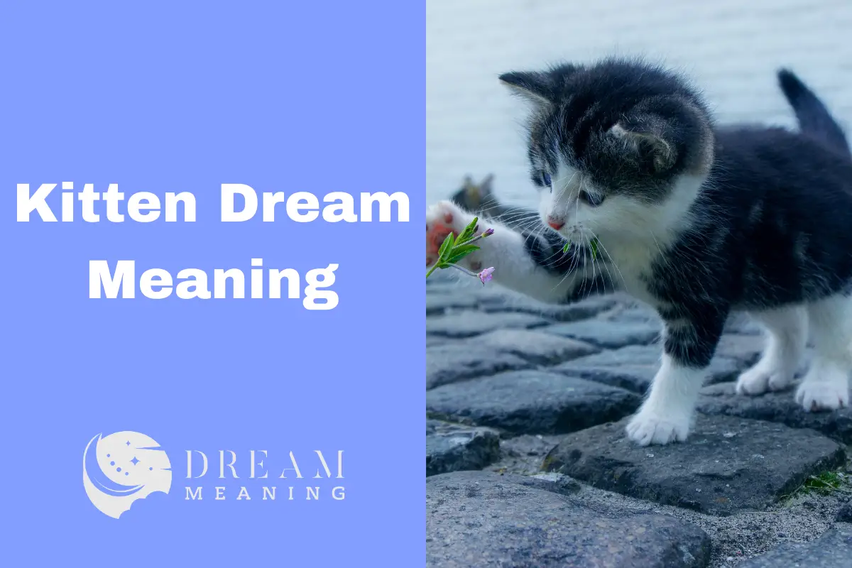 kitten-dream-meaning-a-comprehensive-guide-to-unlocking-your