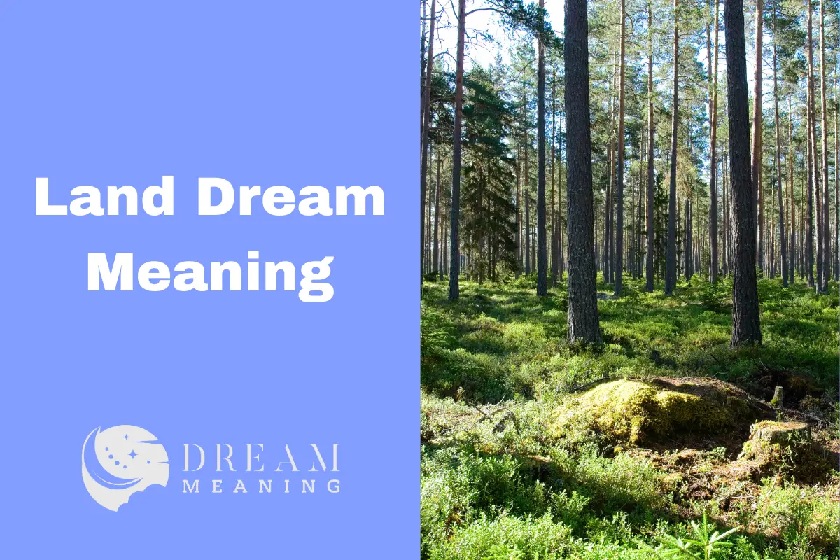 Land Dream Meaning