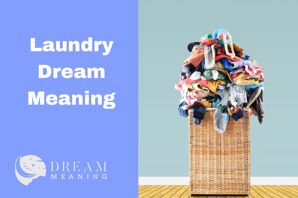 laundry-dream-meaning-what-does-it-mean-when-you-dream-about-doing